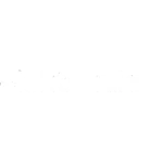 Elektronikse